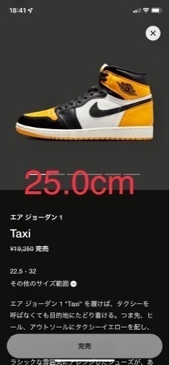 スニーカー Nike Air Jordan 1 High OG \