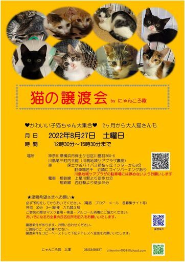 ニャンコロ様専用-