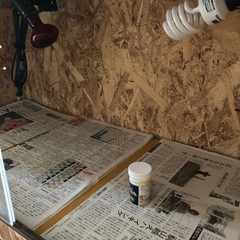 爬虫類ゲージ45×90×45ランプ付き