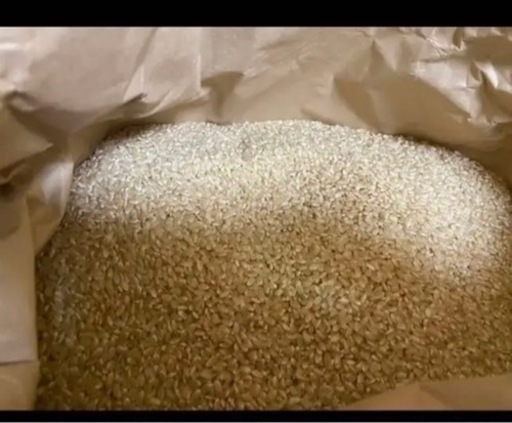 saiさま専用　新米令和６年京都産ヒノヒカリ2キロ×５袋 京都北部 玄米 saiさま専用 新米令和6年京都産ヒノヒカリ2キロ