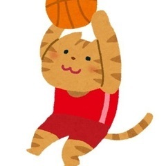 ねこバス🏀🐈 