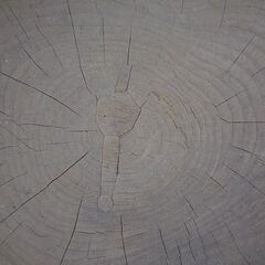 古い臼（取りに来て頂ける方限定）