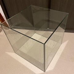 【相談中】30センチ　ガラス　キューブ水槽