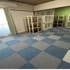 ペットホテル用ケージ、多頭買い