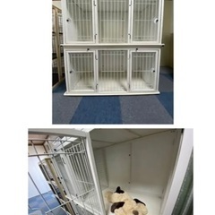 ペットホテル用ケージ、多頭買い