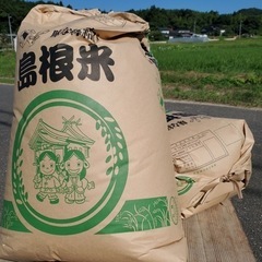 【完売】コシヒカリ　30kg   令和3年収穫
