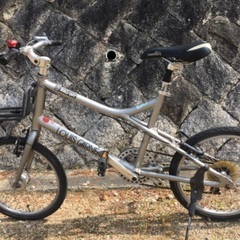 （⭐️決まりました）自転車　ルイガノ