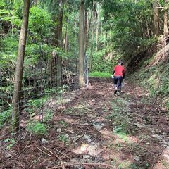 【成約済】山林物件099 岡山県