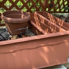 ガーデニング　植木鉢　プランター