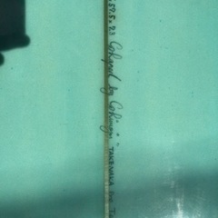 【値下げ】ロングボード　ディックブリュワー9.2ジャンク