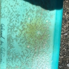 【値下げ】ロングボード　ディックブリュワー9.2ジャンク