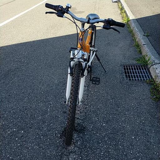 カワサキ ZZ-R1100 ZXT10D チェーンカバー 割れなし K86-69 カワサキ