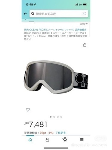 ocean pacificスキーミラー