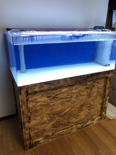 その他 1200OF水槽 生体セット