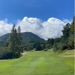 ゴルフ仲間募集⛳️✨