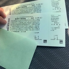 8/20(土)近江vs下関国際　甲子園・外野席チケット