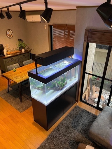 引き取り限定) LED照明付き水槽フルセット