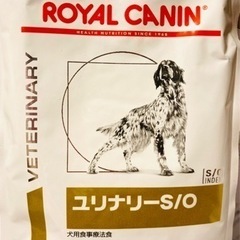 🐶格安❗️犬用　ロイヤルカナン　ユリナリーs/o