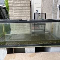 埼玉県の120cm水槽の中古が安い！激安で譲ります・無料であげます ...