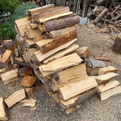 キャンプファイアー用薪（モミの木）約100kg
