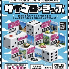 大阪市内⇆白浜☆往復☆サイコロきっぷ2枚☆