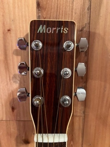 MORRIS MD-507 アコースティックギター & ケースセット MORRIS MD-507 アコースティックギター & ケースセット
