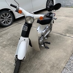 決定！4速セル付きリトルカブ50cc  