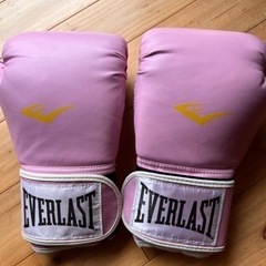 エバーラスト ボクシンググローブ 12オンス EVERLAST ...