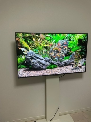 【条件あり値引き】テレビ　KJ-49X9500G 4K液晶テレビ　（テレビスタンド付き）