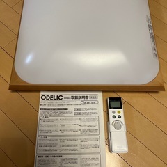 ODELIC オーデリック　照明　OL291016