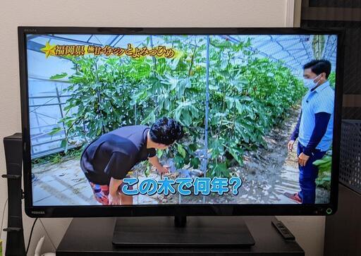 受付中　東芝テレビ　REGZA　2015年製　32型　32S10　TOSHIBATV