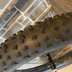 salsa mukluk3 総額37万円使用