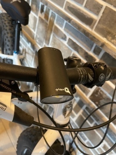 salsa mukluk3 購入 総額37万円使用 