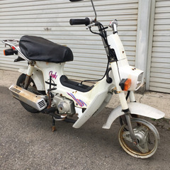 ホンダ　シャリー  50    書類付レストアベース車