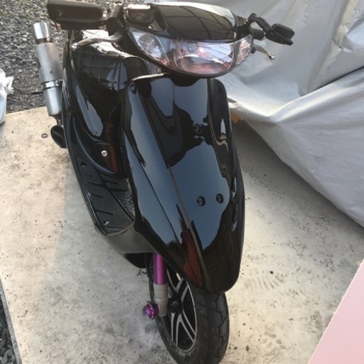 ライブディオZX