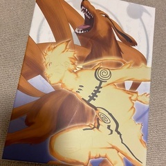 ナルト　DVD 九尾掌握と因果なる邂逅の章　全巻セット