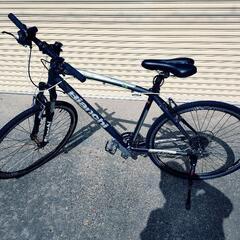 Bianchi　カメレオンテ