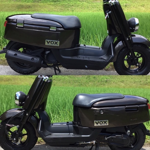 ヤマハ VOX デラックス YAMAHA ボックス 好調！ - gencoconsulting.com