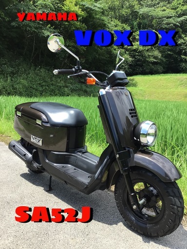 ヤマハ　VOX デラックス　YAMAHA ボックス　好調！