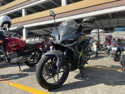 250cc パルサー200 バイク