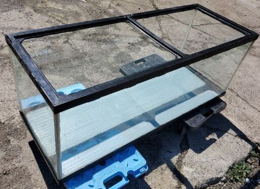 水槽 生け簀 幅120センチ