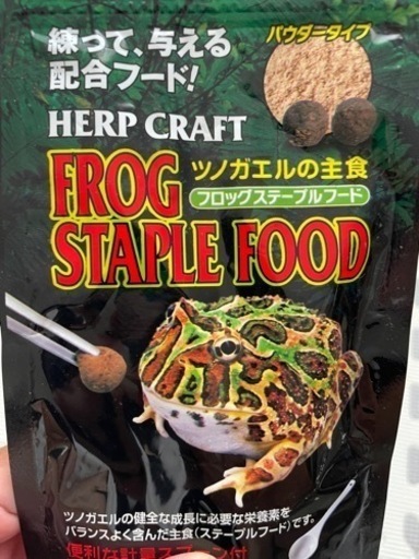 アフリカウシガエル
