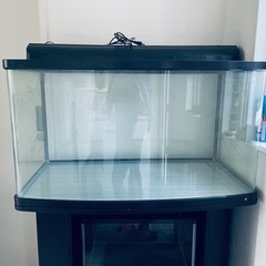 引取限定 90cm水槽セット 専用水槽台＋蛍光灯ライト ニッソーパラドーム900