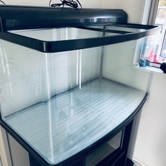 引取限定】90 水槽 セット
