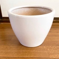 鉢 陶器×2     9号 植木鉢 白(オリーブの木付き)
