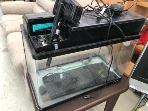 NISSO 水槽セット一式　アクアリウム