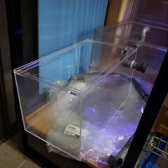 ！！水槽用品多数！！