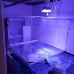 ！！水槽用品多数！！