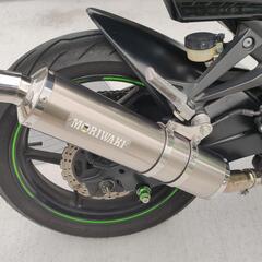 Ninja250R ニンジャ250R 美車 低走行 6287km