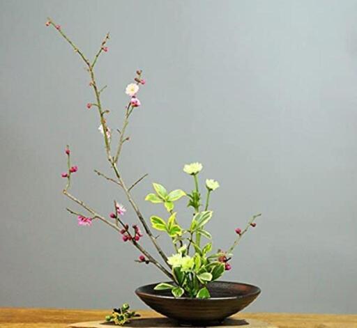初心者やお子さまにも楽しめる生け花を ポポ 寝屋川の華道の生徒募集 教室 スクールの広告掲示板 ジモティー